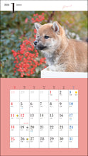 Load image into Gallery viewer, 2026 Calendar Cute Shiba Inu
