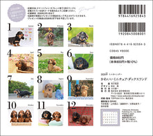 Load image into Gallery viewer, 2026 Calendar Cute Miniature Dachshund
