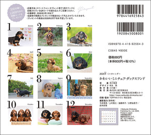 2026 Calendar Cute Miniature Dachshund