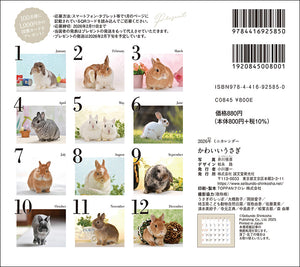 2026 Calendar Cute Rabbit