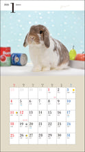 Load image into Gallery viewer, 2026 Calendar Cute Rabbit
