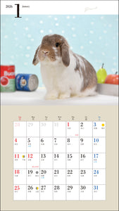2026 Calendar Cute Rabbit