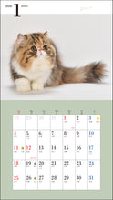 Load image into Gallery viewer, 2026 Calendar Cute Kitten
