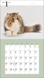 2026 Calendar Cute Kitten