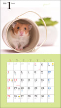 Load image into Gallery viewer, 2026 Calendar Cute Hamster
