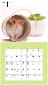 2026 Calendar Cute Hamster