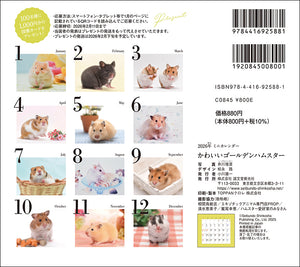 2026 Calendar Cute Golden Hamster