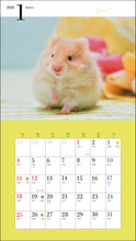 Load image into Gallery viewer, 2026 Calendar Cute Golden Hamster
