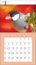 Load image into Gallery viewer, 2026 Calendar Cute Java Sparrow
