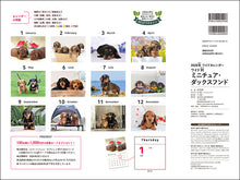 Load image into Gallery viewer, 2026 Calendar Wide Format Miniature Dachshund
