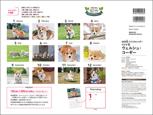 2026 Calendar Wide Format Welsh Corgi