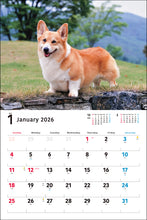 Load image into Gallery viewer, 2026 Calendar Wide Format Welsh Corgi
