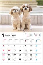 Load image into Gallery viewer, 2026 Wide Format Calendar Shih Tzu
