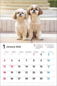 2026 Wide Format Calendar Shih Tzu