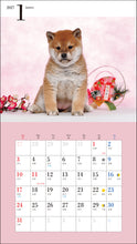 画像をギャラリービューアに読み込む, 2027年カレンダー かわいい柴犬
