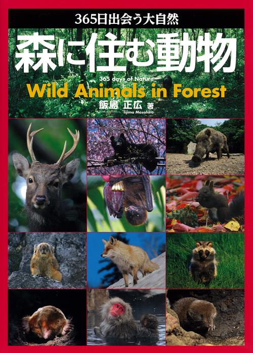 365 days encounter Nature animals living in the forest