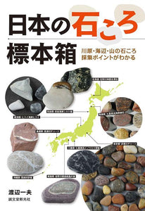 Japanese stone specimen box