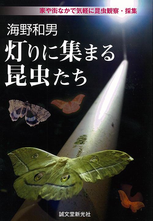 Insects attracting lights