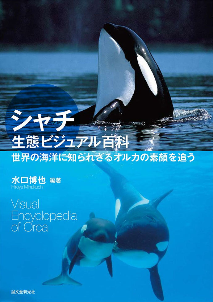 Killer Whale Ecology Visual Encyclopedia