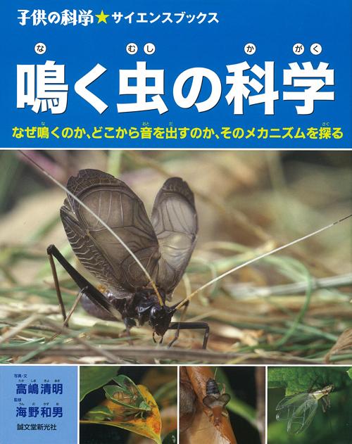 The science of chirping insects