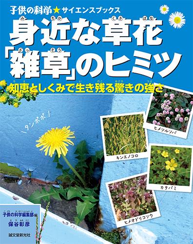 The secret of the familiar flower 