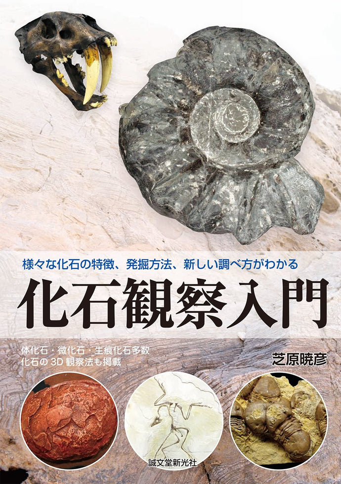 Introduction to Fossil Observation
