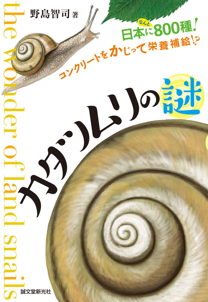 Mystery of the snail