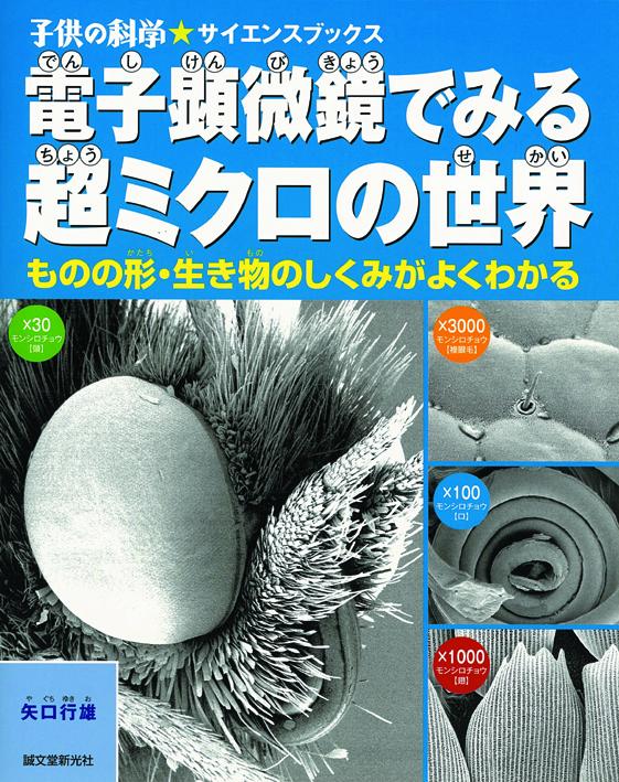 The ultra-micro world seen through an electron microscope