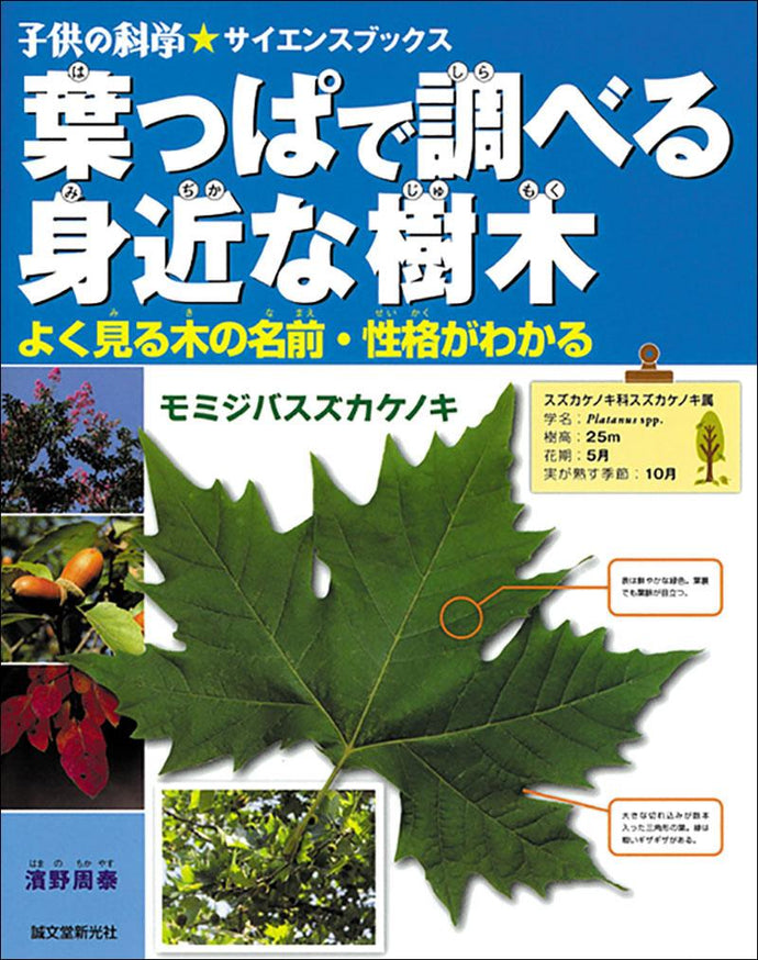 葉っぱで調べる身近な樹木