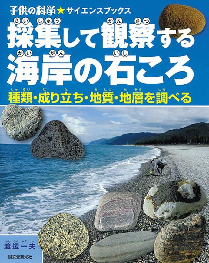 Coastal stones collected and observed