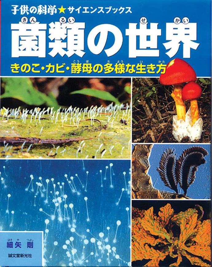 world of fungi