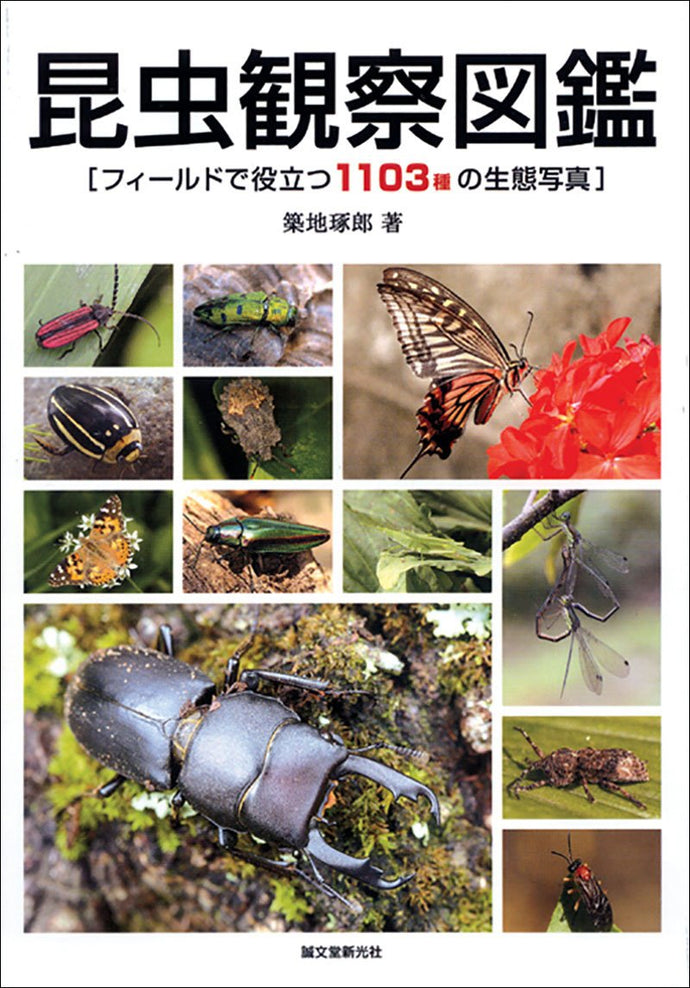Insect Observation Book
