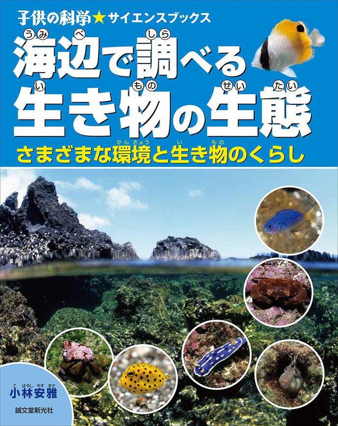 Ecology of creatures to investigate at the seaside