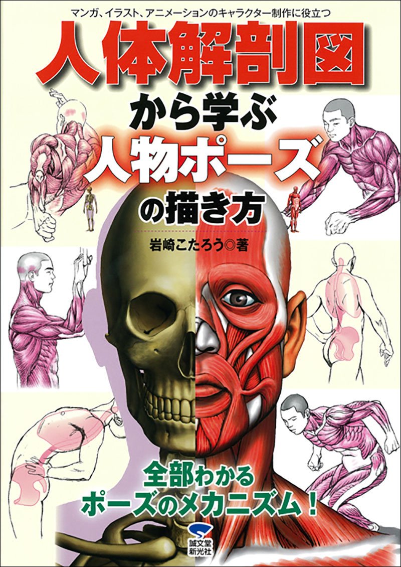 人体解剖図から学ぶ人物ポーズの描き方