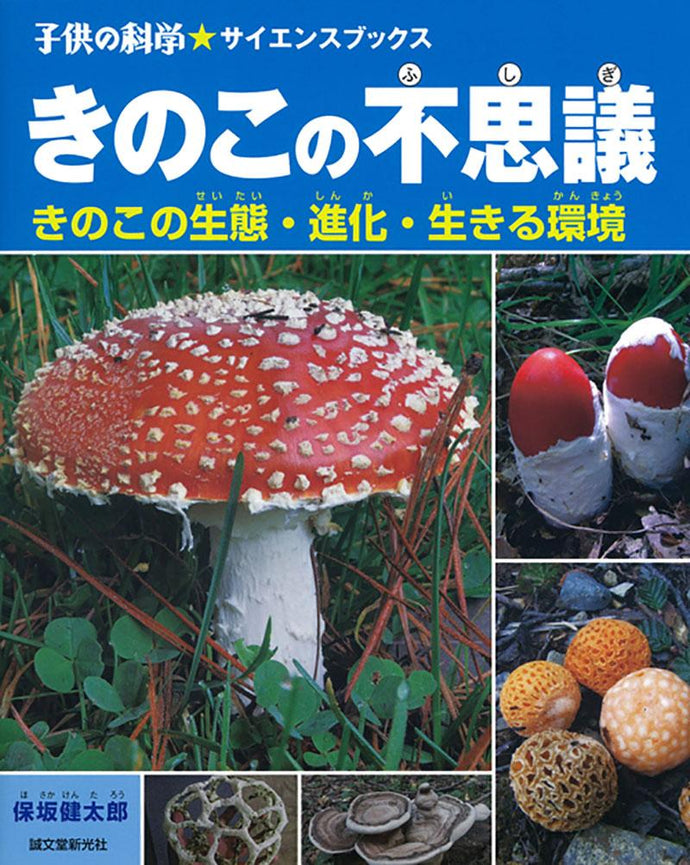 The wonder of mushrooms