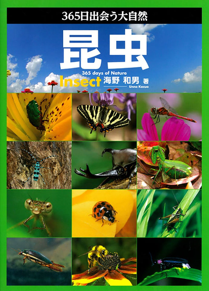 Encounter 365 days of nature Insects