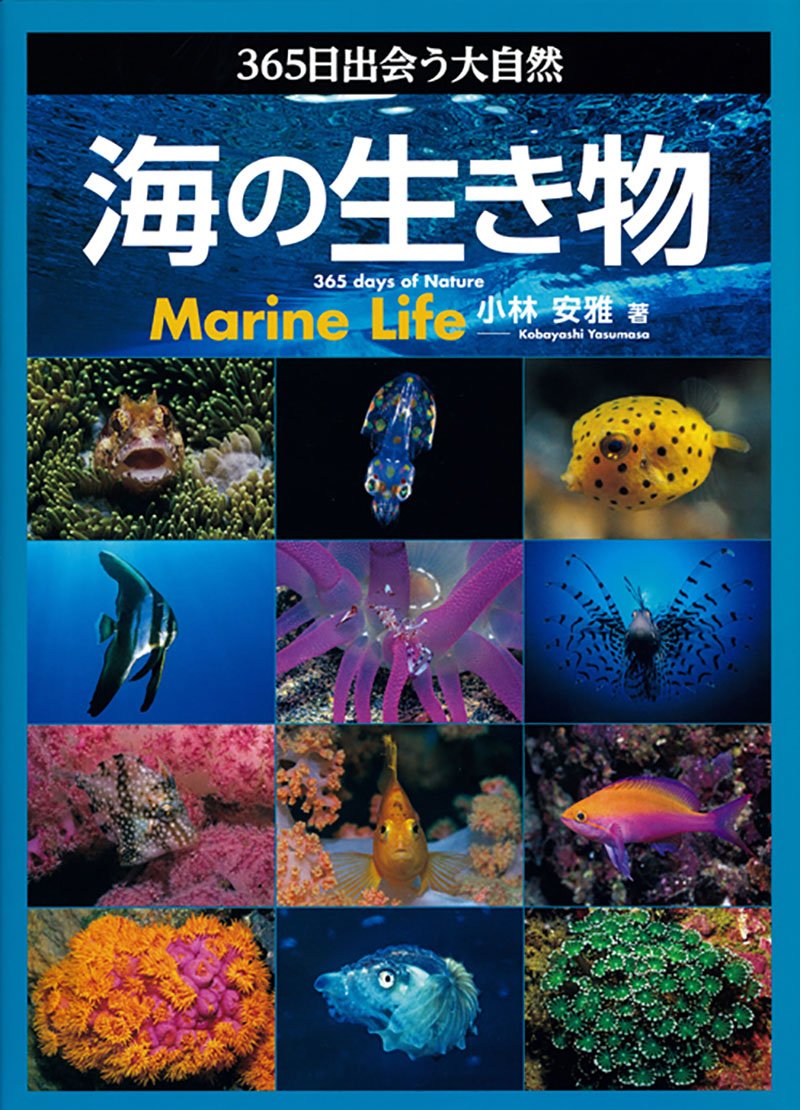 365日出会う大自然 海の生き物 – 誠文堂の直売所