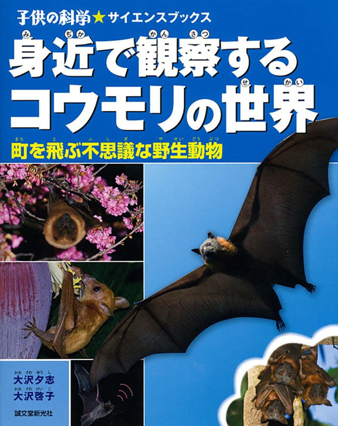 The world of bats that you can observe up close