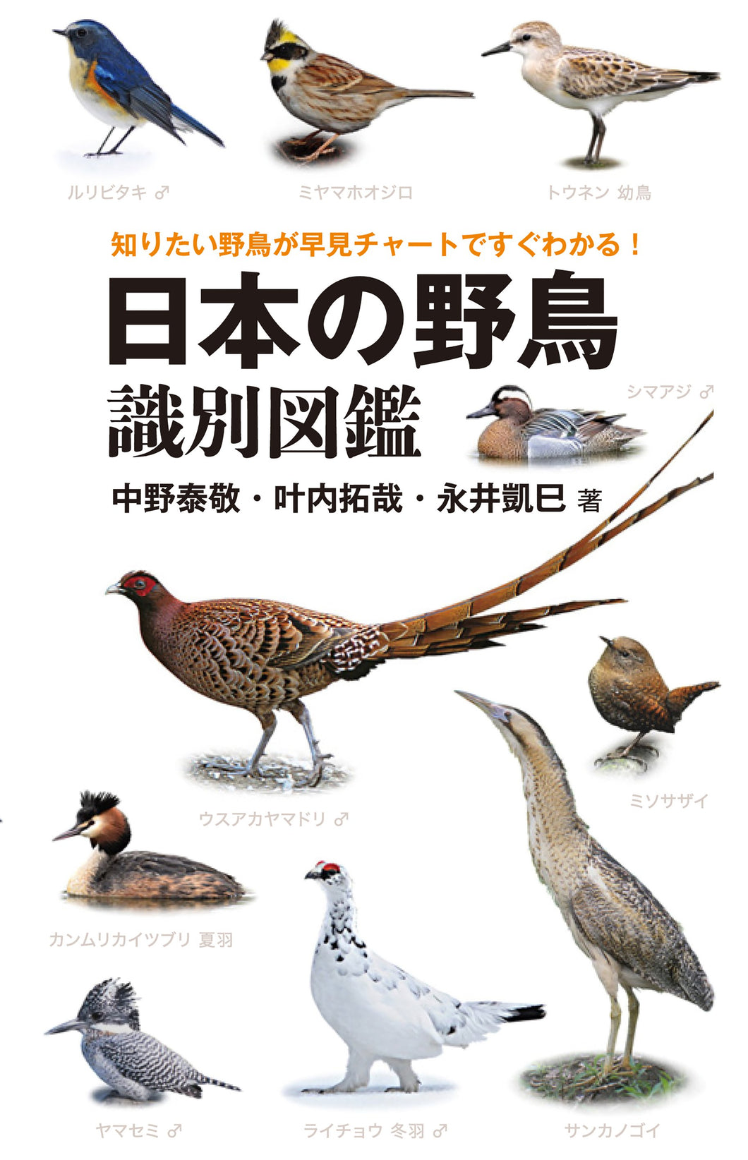 Japanese wild bird identification book