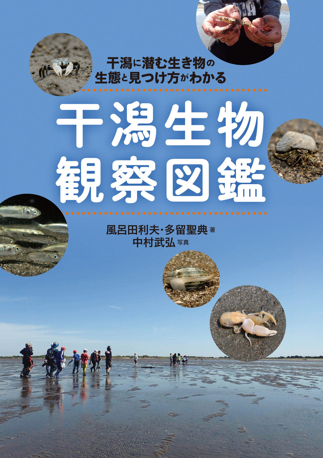 Illustrated Guide to Observing Tidal Flats