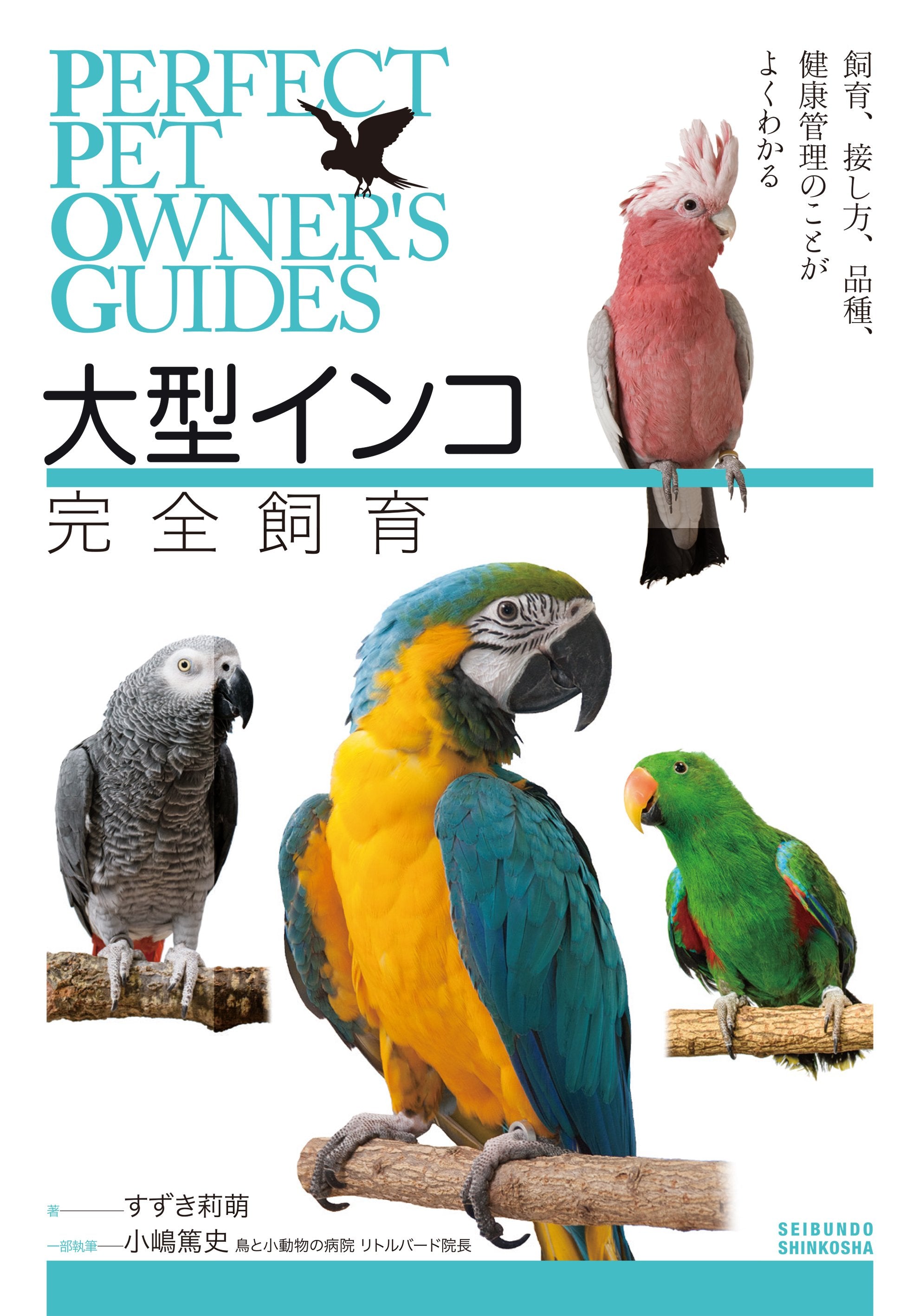 大型インコ 完全飼育 – 誠文堂の直売所