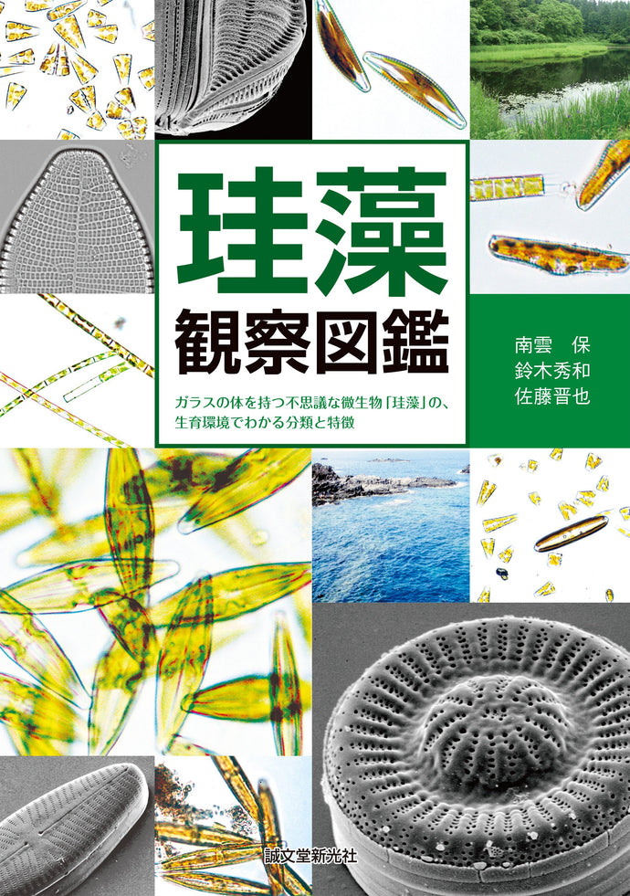 Diatom Observation Guide