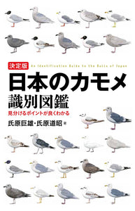 The definitive Japanese seagull identification book