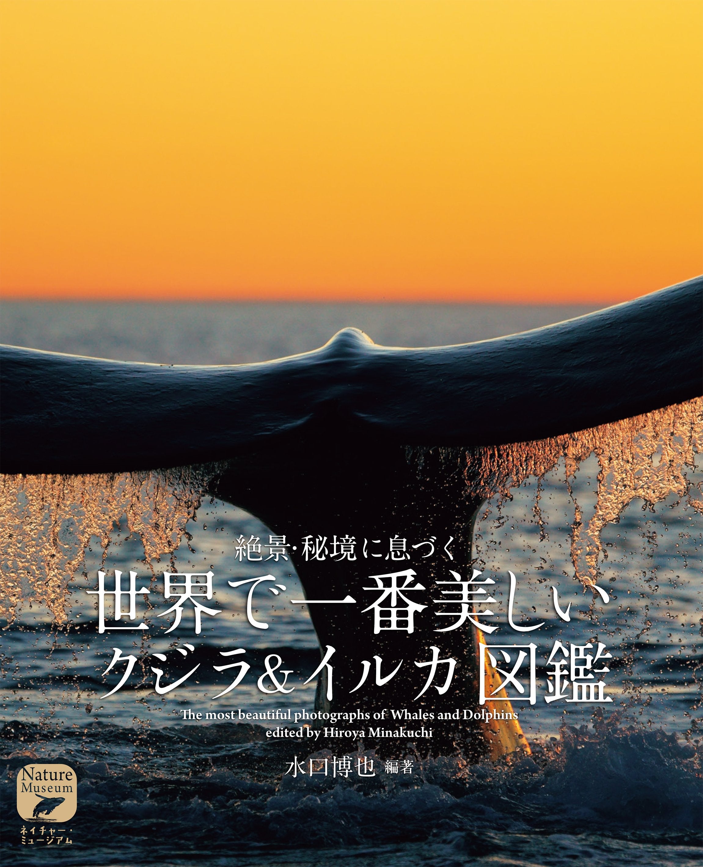 世界で一番美しいクジラ＆イルカ図鑑 – 誠文堂の直売所