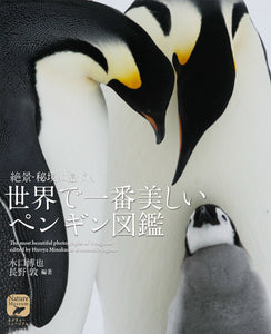 世界で一番美しいペンギン図鑑