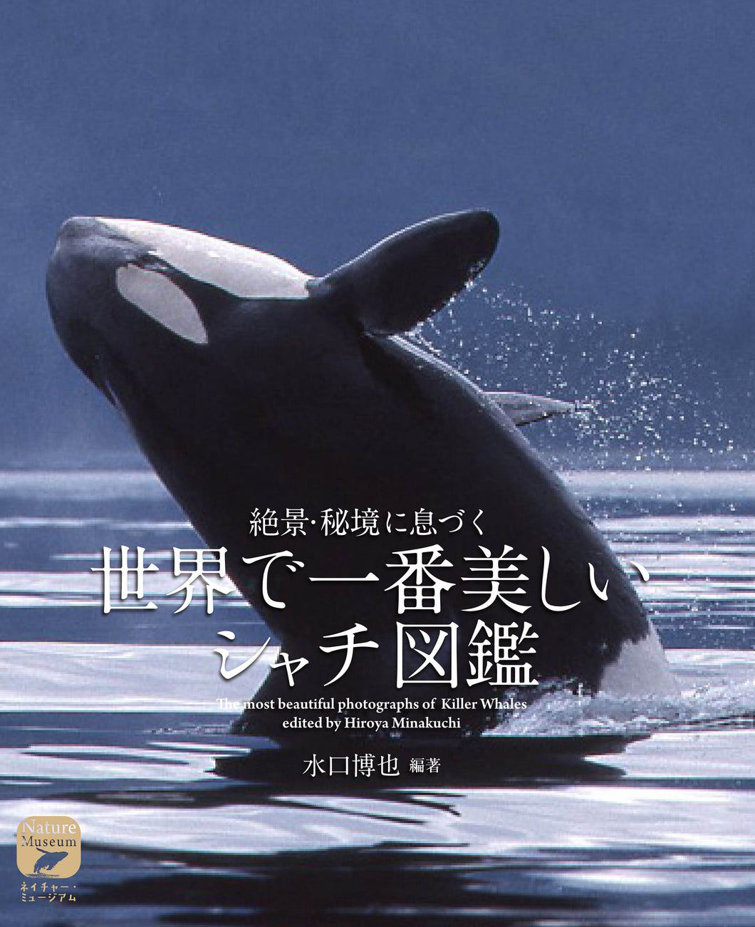 The world's most beautiful killer whale encyclopedia