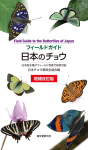 Enlarged and Revised Japanese Butterfly
