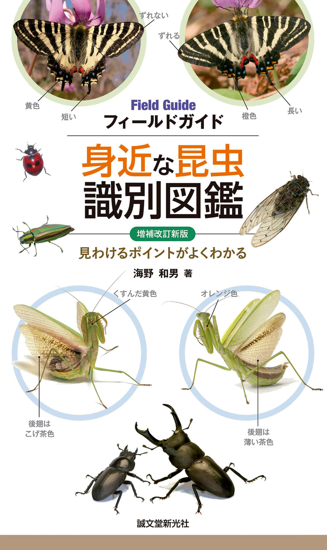 Enlarged and Revised New Edition Familiar Insect Identification Picture Book