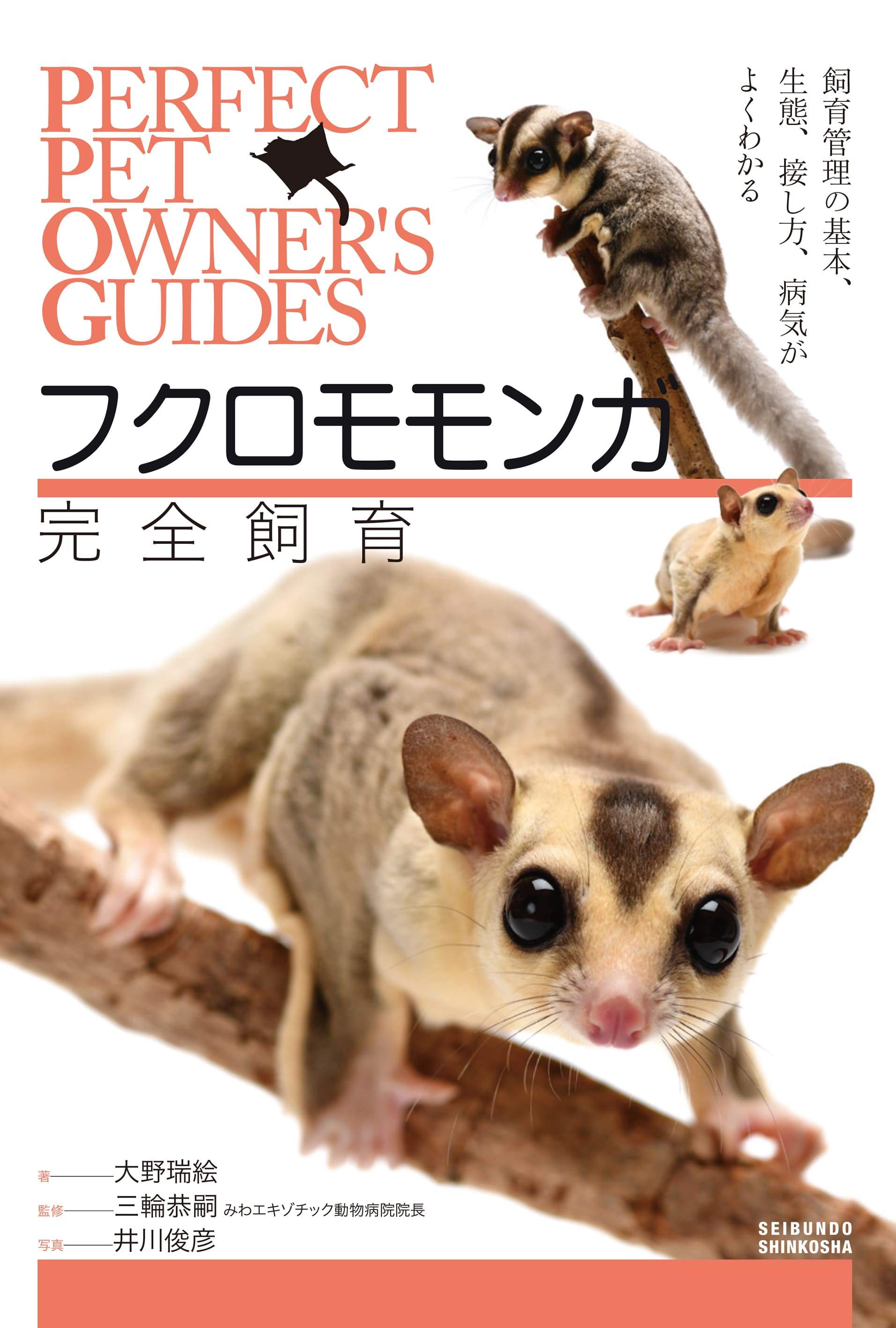 フクロモモンガ　小動物　オーダーページ フクロモモンガ完全飼育 – 誠文堂の直売所