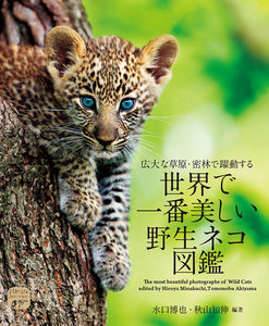 The world's most beautiful wild cat picture book